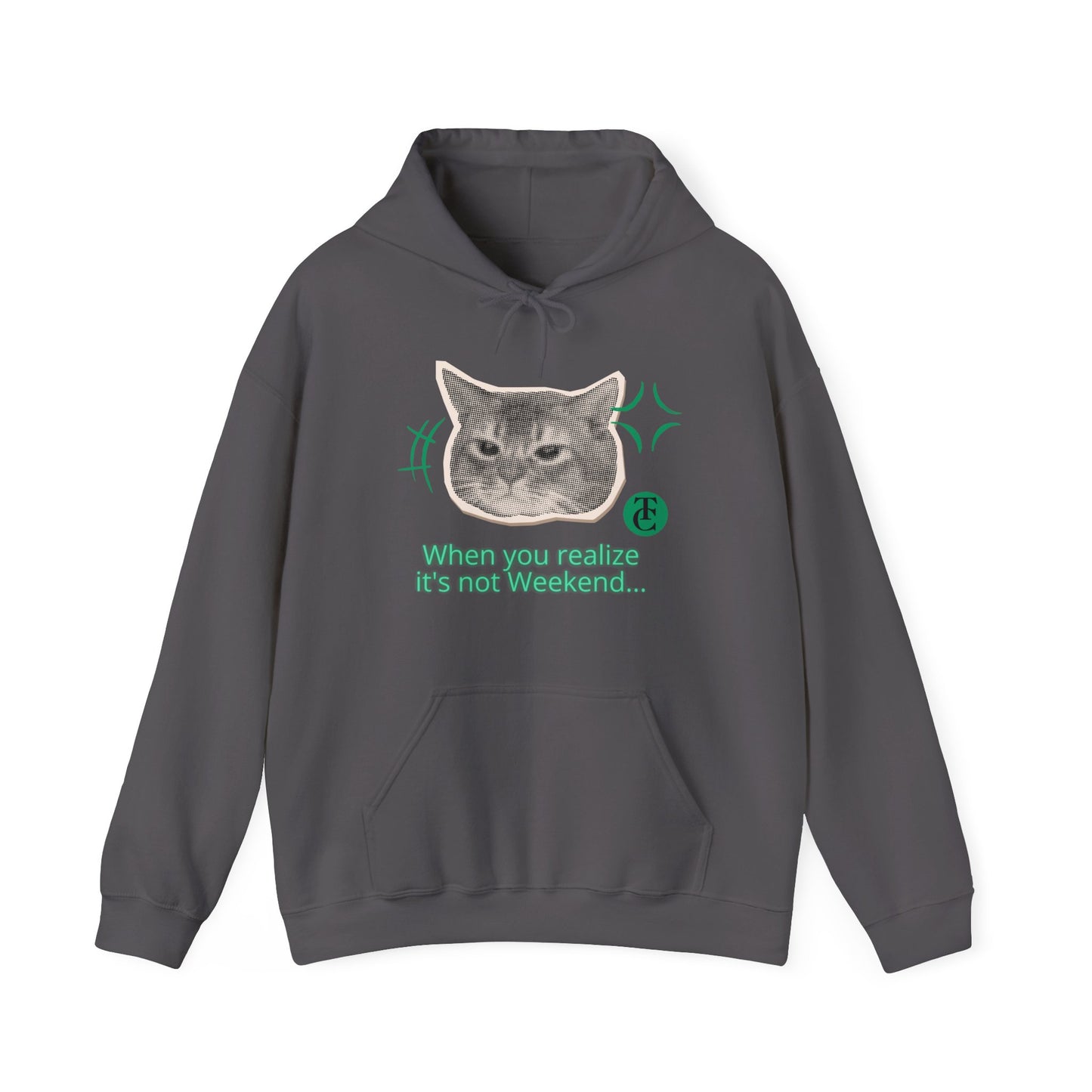 Cat Humor Sweatshirt, Funny Hoodie, Weekend Vibes Sweatshirt, Hoodie, Gift for Cat Lovers, Cute Cat Apparel - THE CATCH
