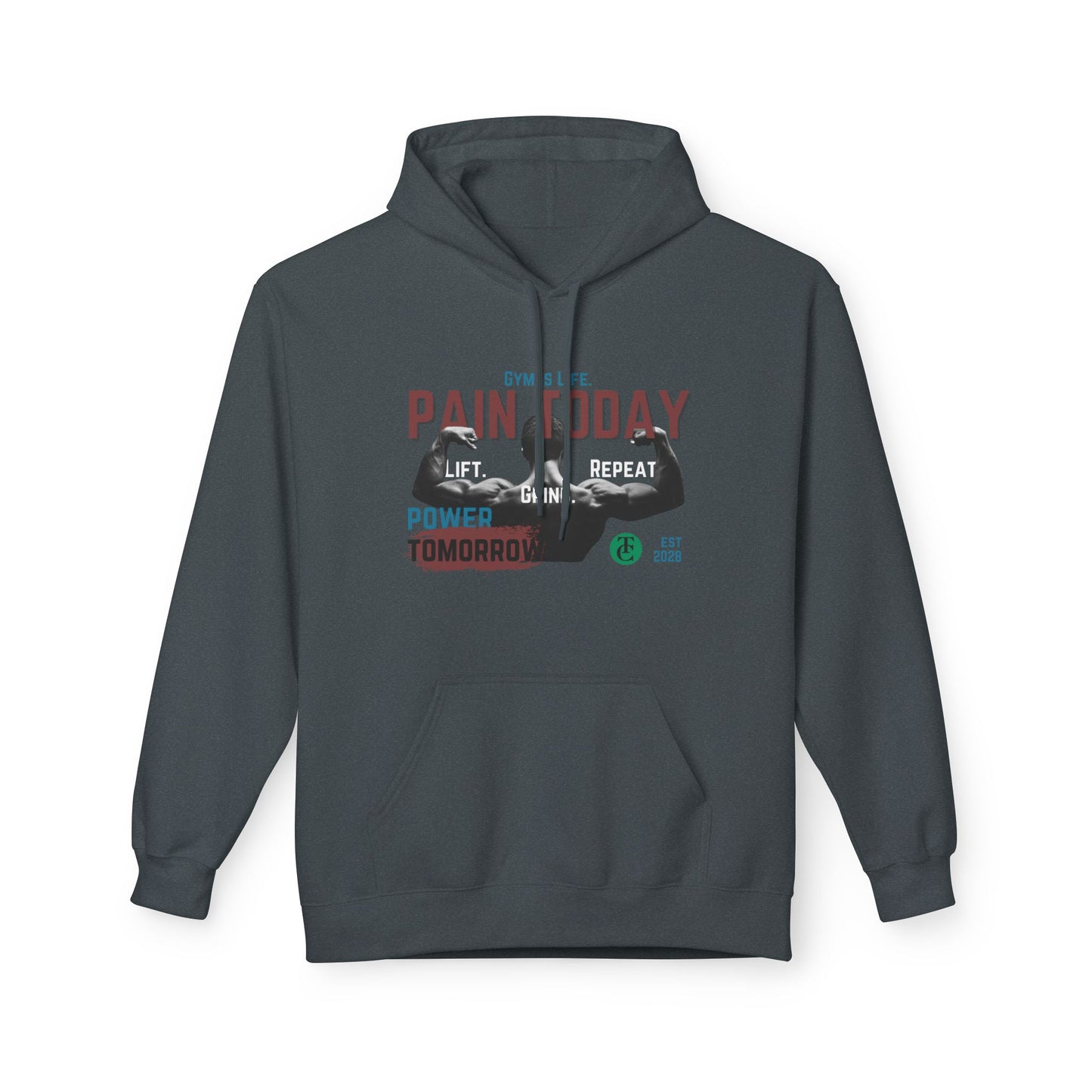 Empowering Fleece Hoodie | Gym Motivation | Pain Today, Power Tomorrow Workout Gear | Fitness Gift | Casual Wear - THE CATCH