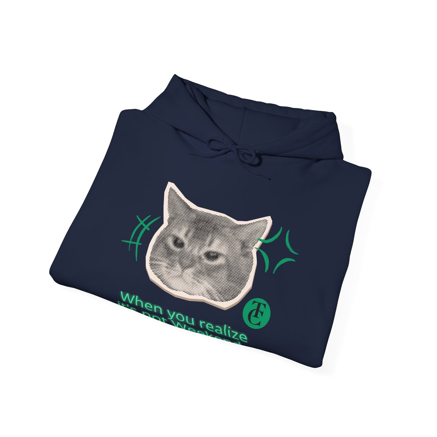 Cat Humor Sweatshirt, Funny Hoodie, Weekend Vibes Sweatshirt, Hoodie, Gift for Cat Lovers, Cute Cat Apparel
