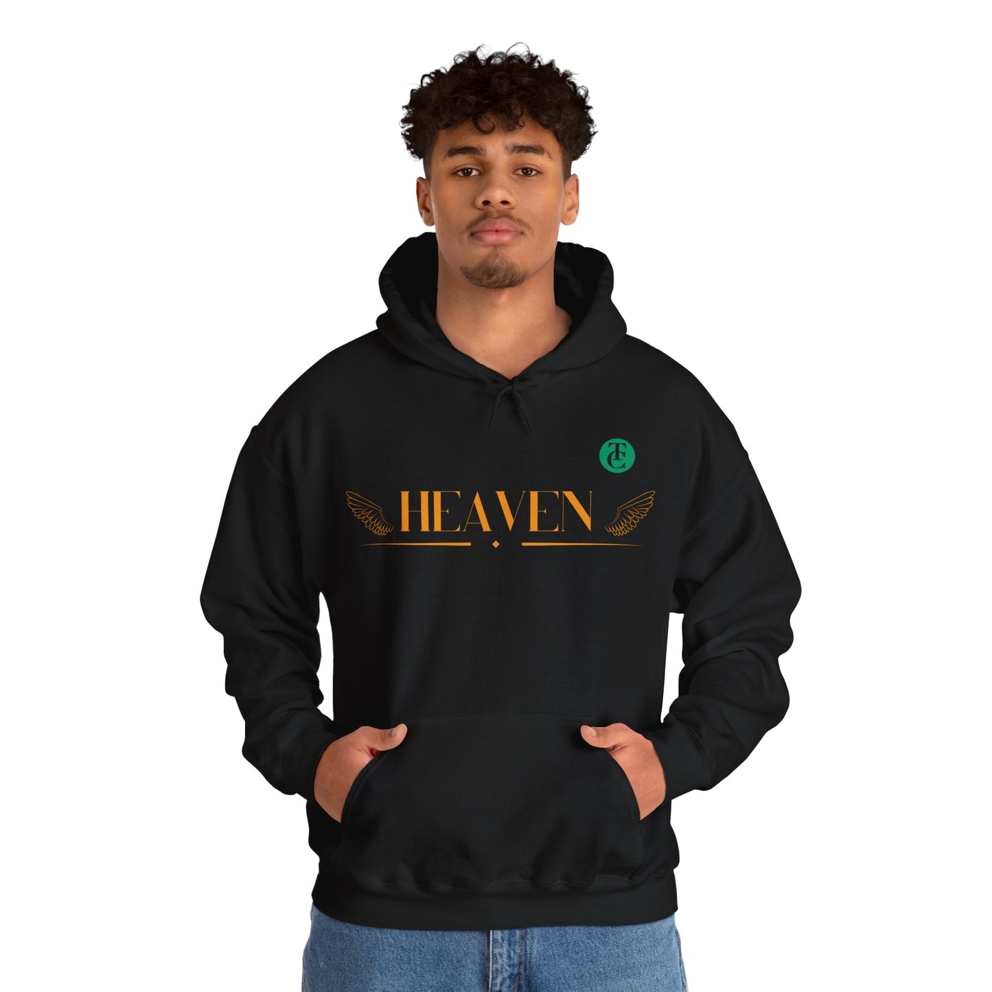 Heavenly Black Hoodie, Cozy Sweatshirt for All Seasons, Gift for Friends, Comfortable Layering, Casual Streetwear - THE CATCH