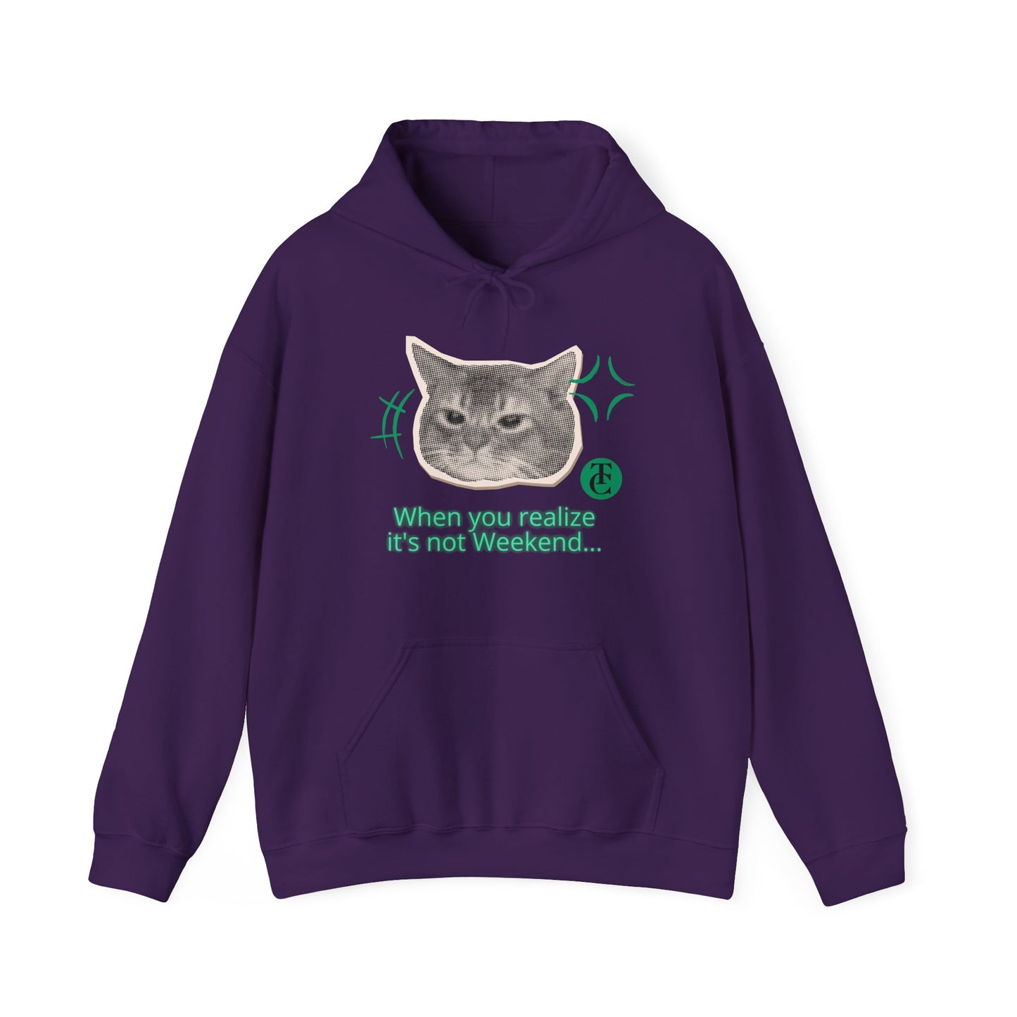 Cat Humor Sweatshirt, Funny Hoodie, Weekend Vibes Sweatshirt, Hoodie, Gift for Cat Lovers, Cute Cat Apparel - THE CATCH