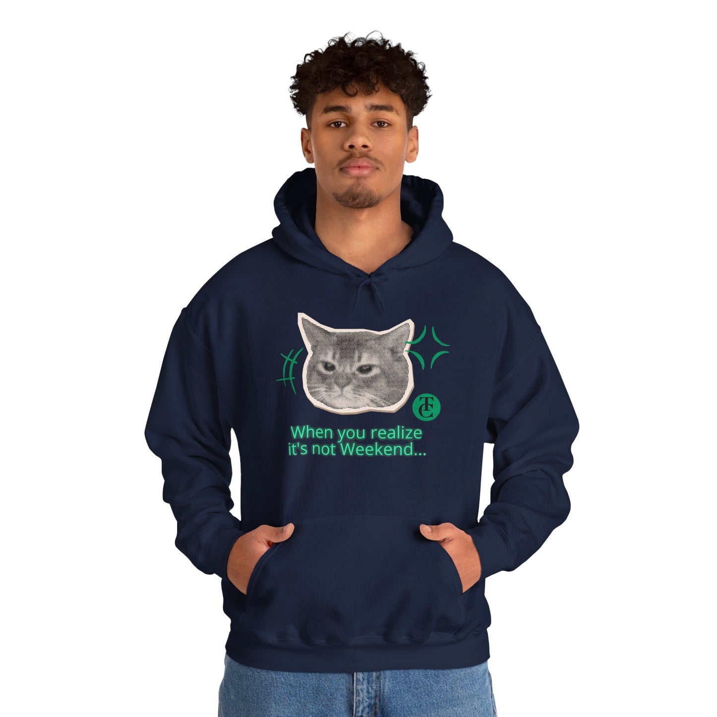 Cat Humor Sweatshirt, Funny Hoodie, Weekend Vibes Sweatshirt, Hoodie, Gift for Cat Lovers, Cute Cat Apparel