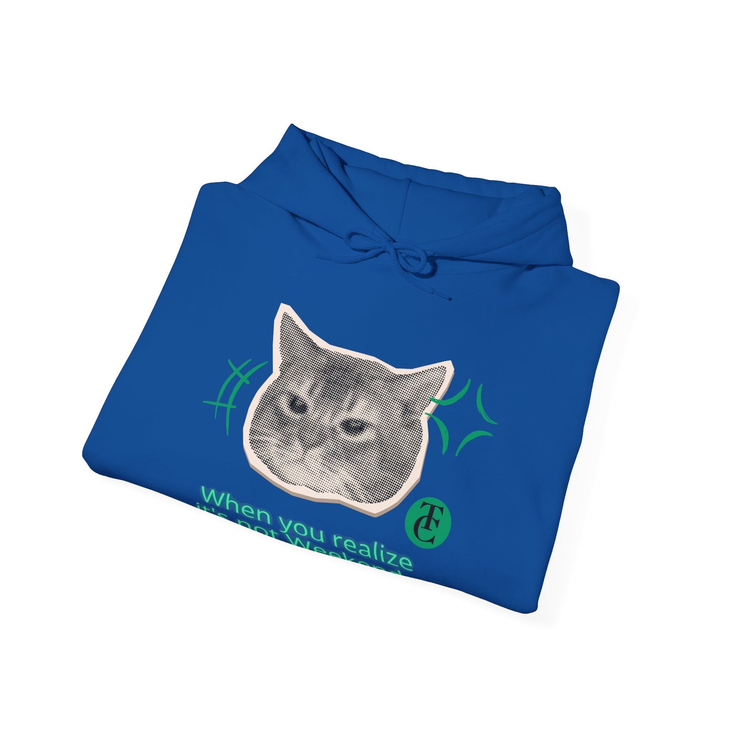 Cat Humor Sweatshirt, Funny Hoodie, Weekend Vibes Sweatshirt, Hoodie, Gift for Cat Lovers, Cute Cat Apparel - THE CATCH
