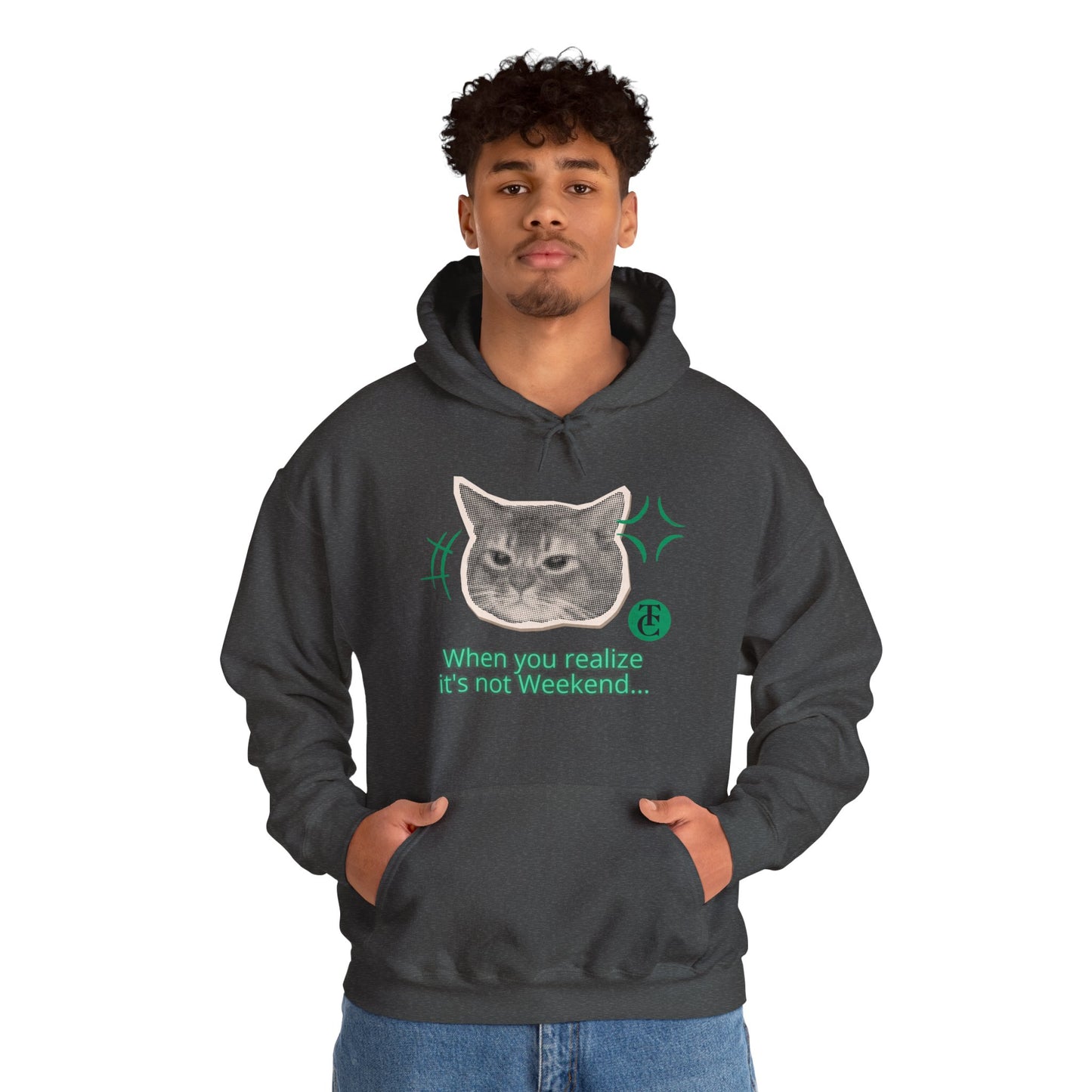 Cat Humor Sweatshirt, Funny Hoodie, Weekend Vibes Sweatshirt, Hoodie, Gift for Cat Lovers, Cute Cat Apparel - THE CATCH