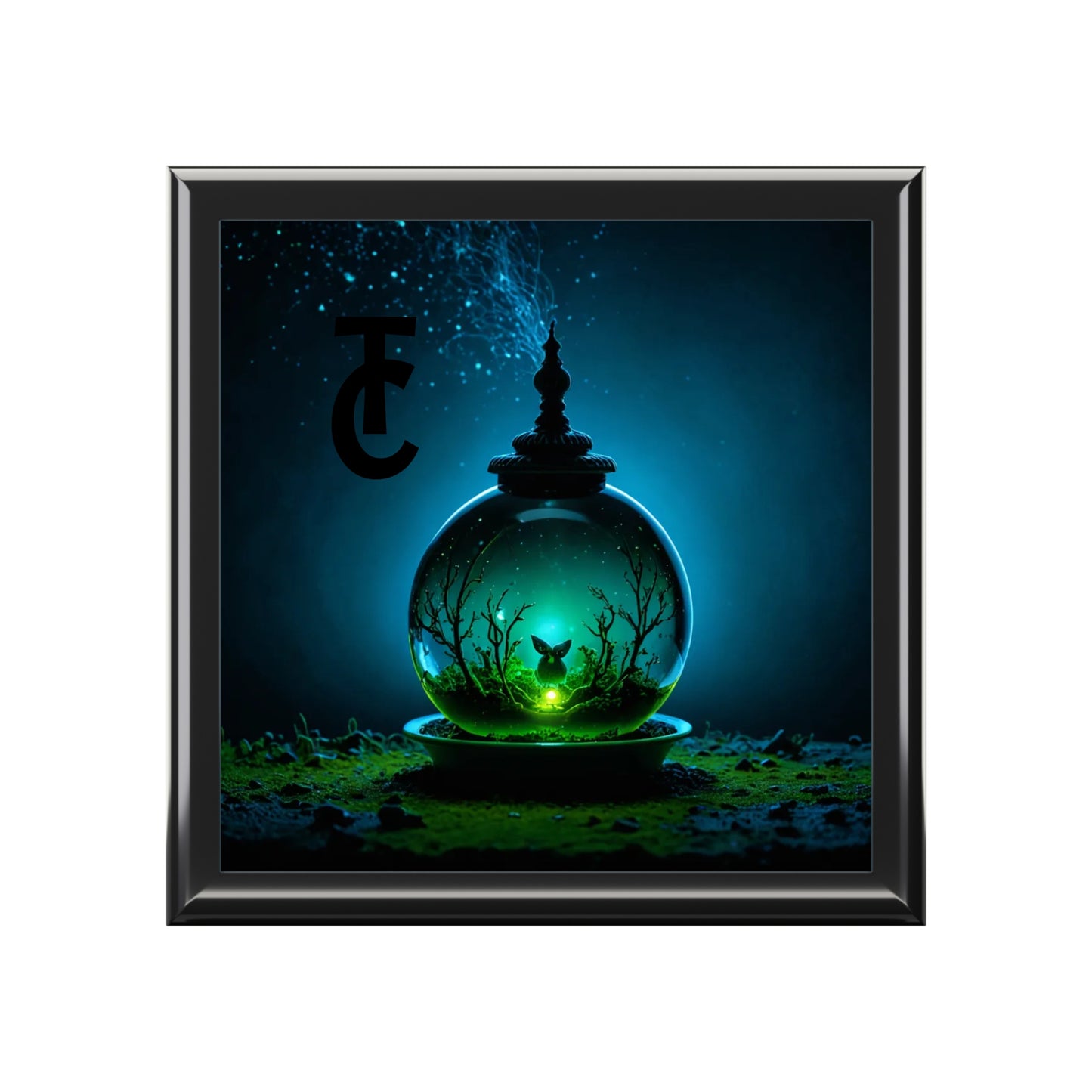 Jewelry Box - THE CATCH