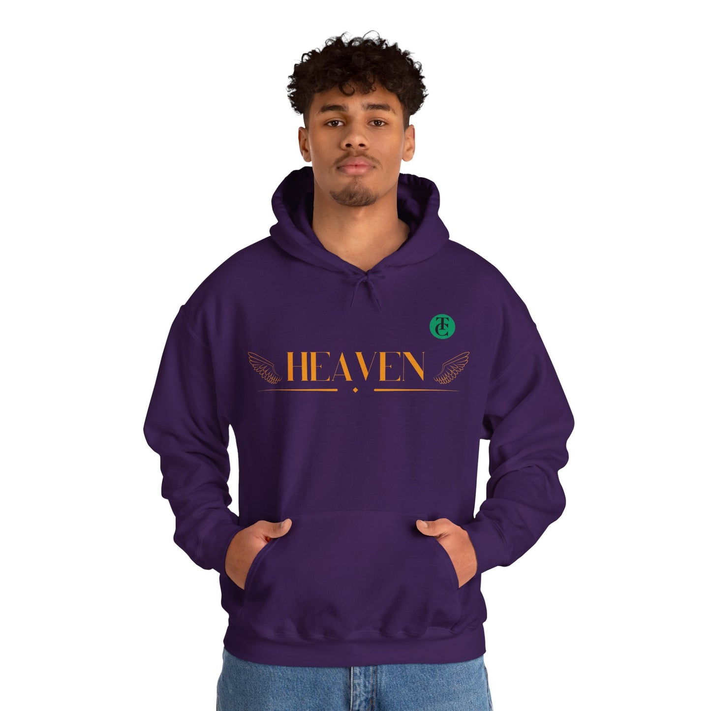 Heavenly Black Hoodie, Cozy Sweatshirt for All Seasons, Gift for Friends, Comfortable Layering, Casual Streetwear - THE CATCH