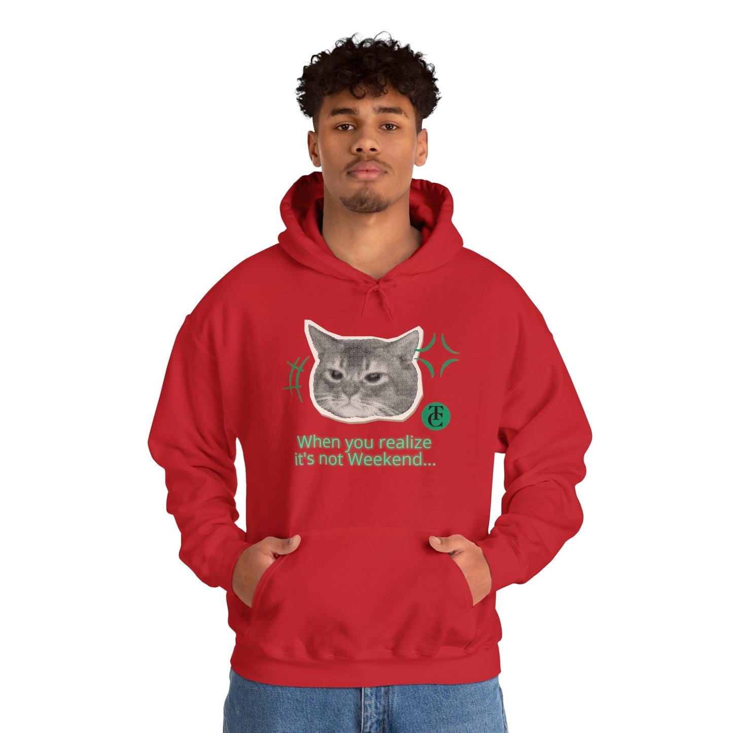 Cat Humor Sweatshirt, Funny Hoodie, Weekend Vibes Sweatshirt, Hoodie, Gift for Cat Lovers, Cute Cat Apparel
