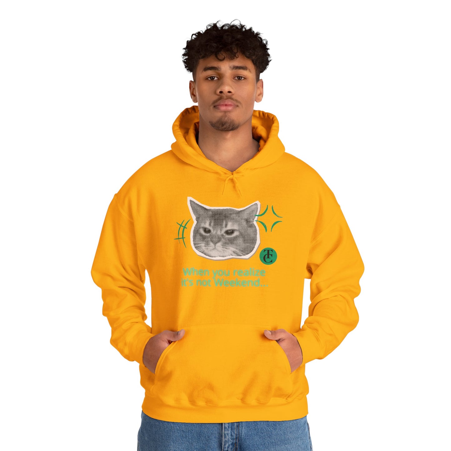 Cat Humor Sweatshirt, Funny Hoodie, Weekend Vibes Sweatshirt, Hoodie, Gift for Cat Lovers, Cute Cat Apparel - THE CATCH