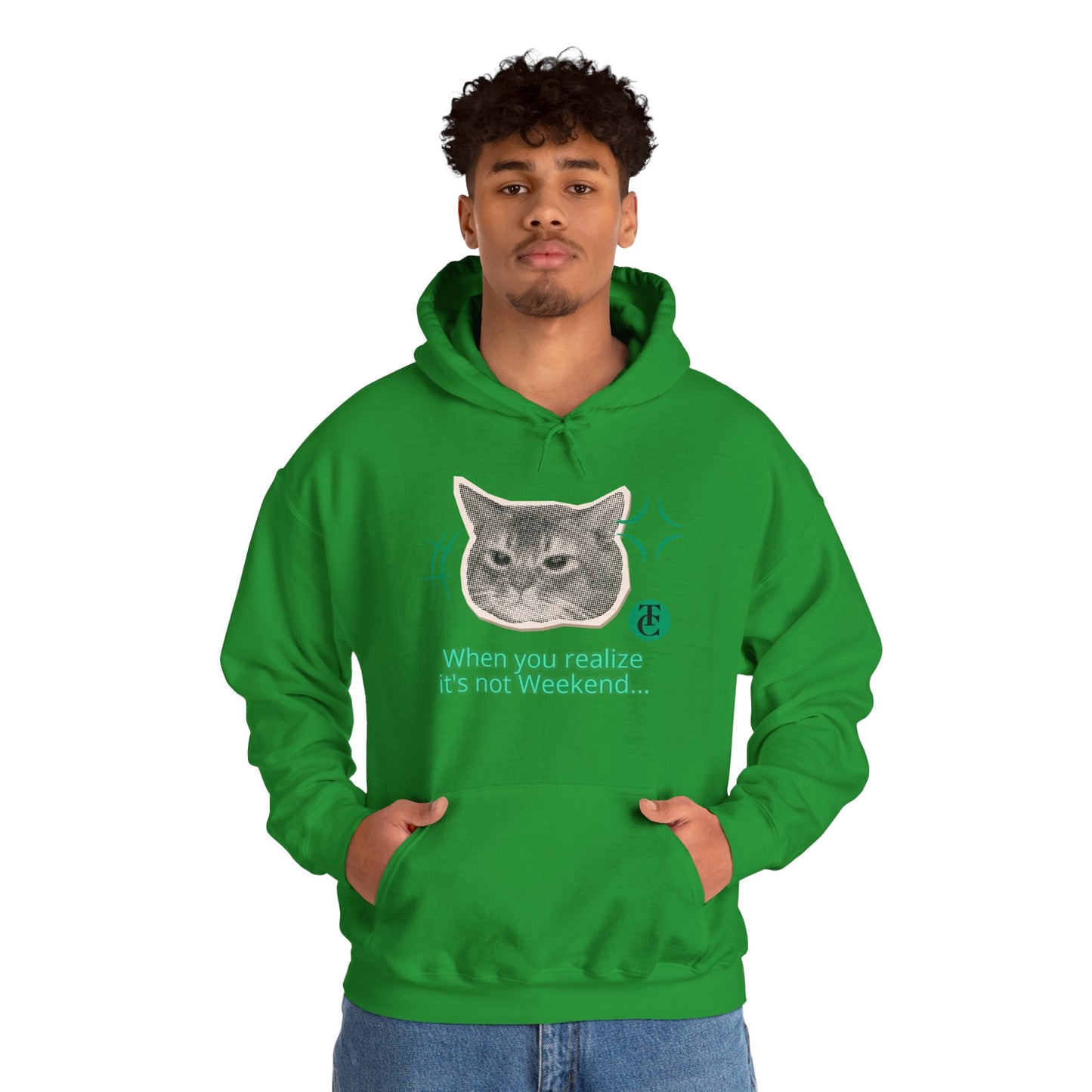 Cat Humor Sweatshirt, Funny Hoodie, Weekend Vibes Sweatshirt, Hoodie, Gift for Cat Lovers, Cute Cat Apparel - THE CATCH