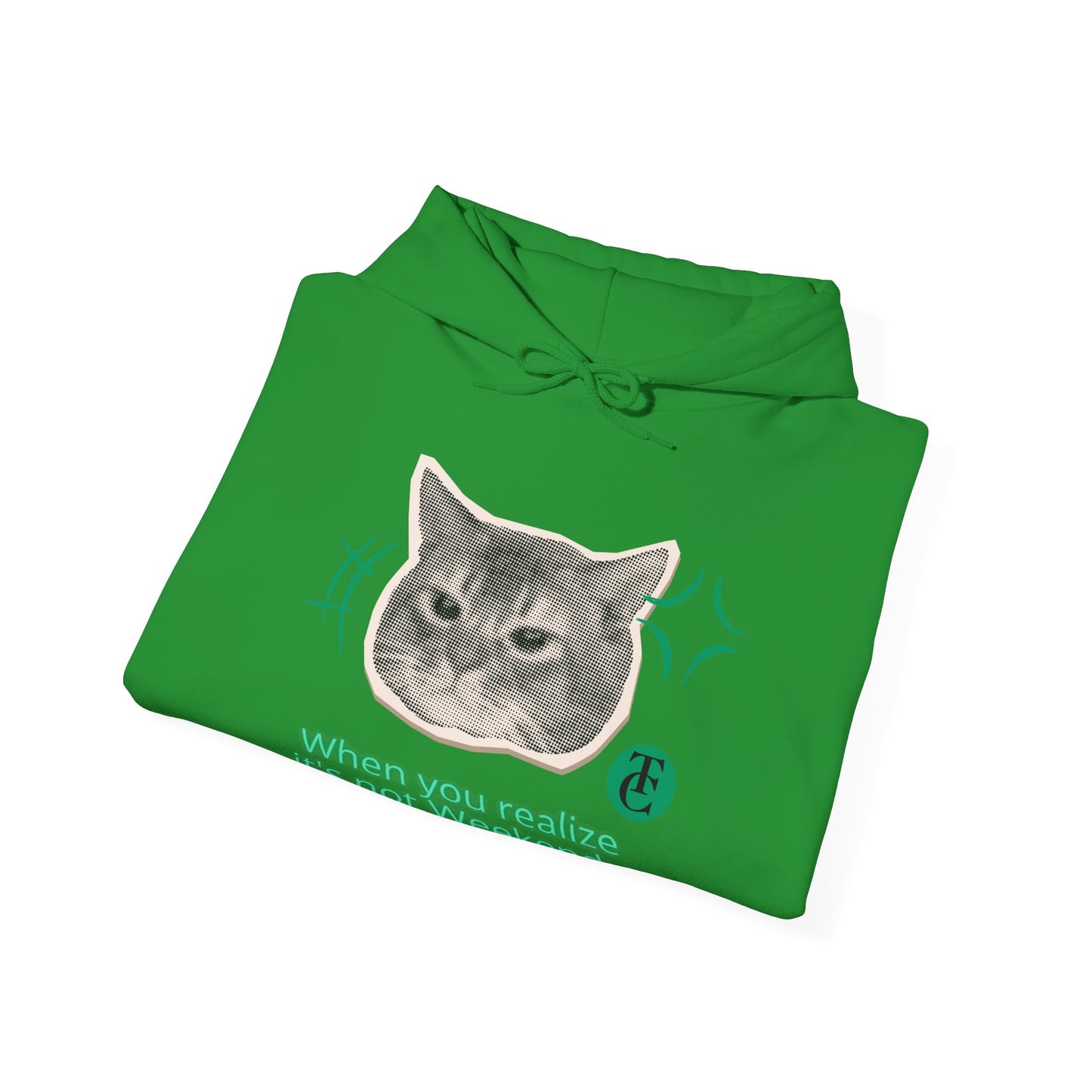 Cat Humor Sweatshirt, Funny Hoodie, Weekend Vibes Sweatshirt, Hoodie, Gift for Cat Lovers, Cute Cat Apparel - THE CATCH