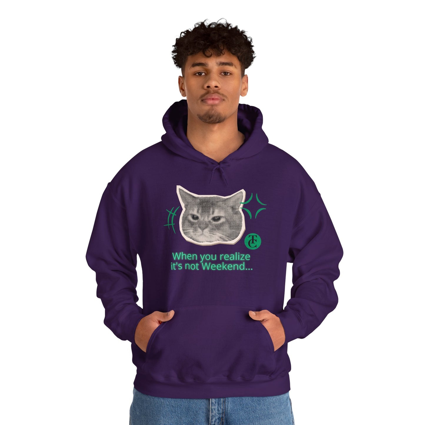 Cat Humor Sweatshirt, Funny Hoodie, Weekend Vibes Sweatshirt, Hoodie, Gift for Cat Lovers, Cute Cat Apparel