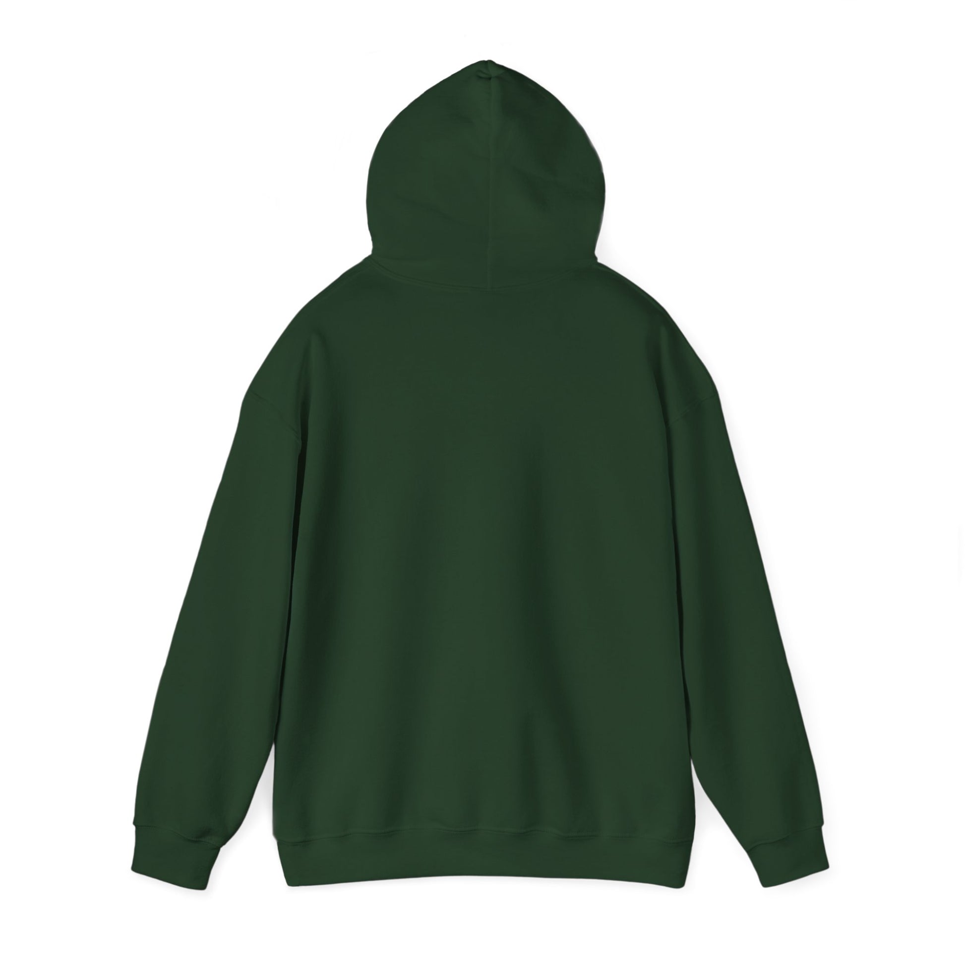 Cozy Witchy Hooded Sweatshirt - Perfect for Halloween, Casual Wear, Gifts, Cozy Outfits, & Fall Gatherings - THE CATCH