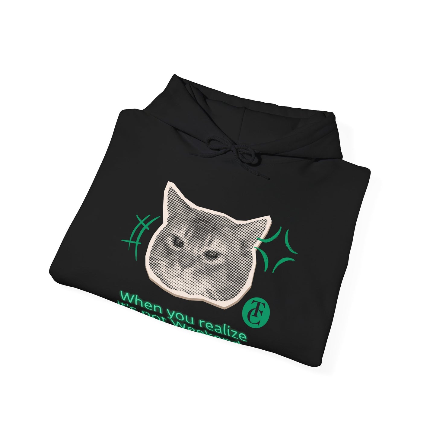 Cat Humor Sweatshirt, Funny Hoodie, Weekend Vibes Sweatshirt, Hoodie, Gift for Cat Lovers, Cute Cat Apparel - THE CATCH