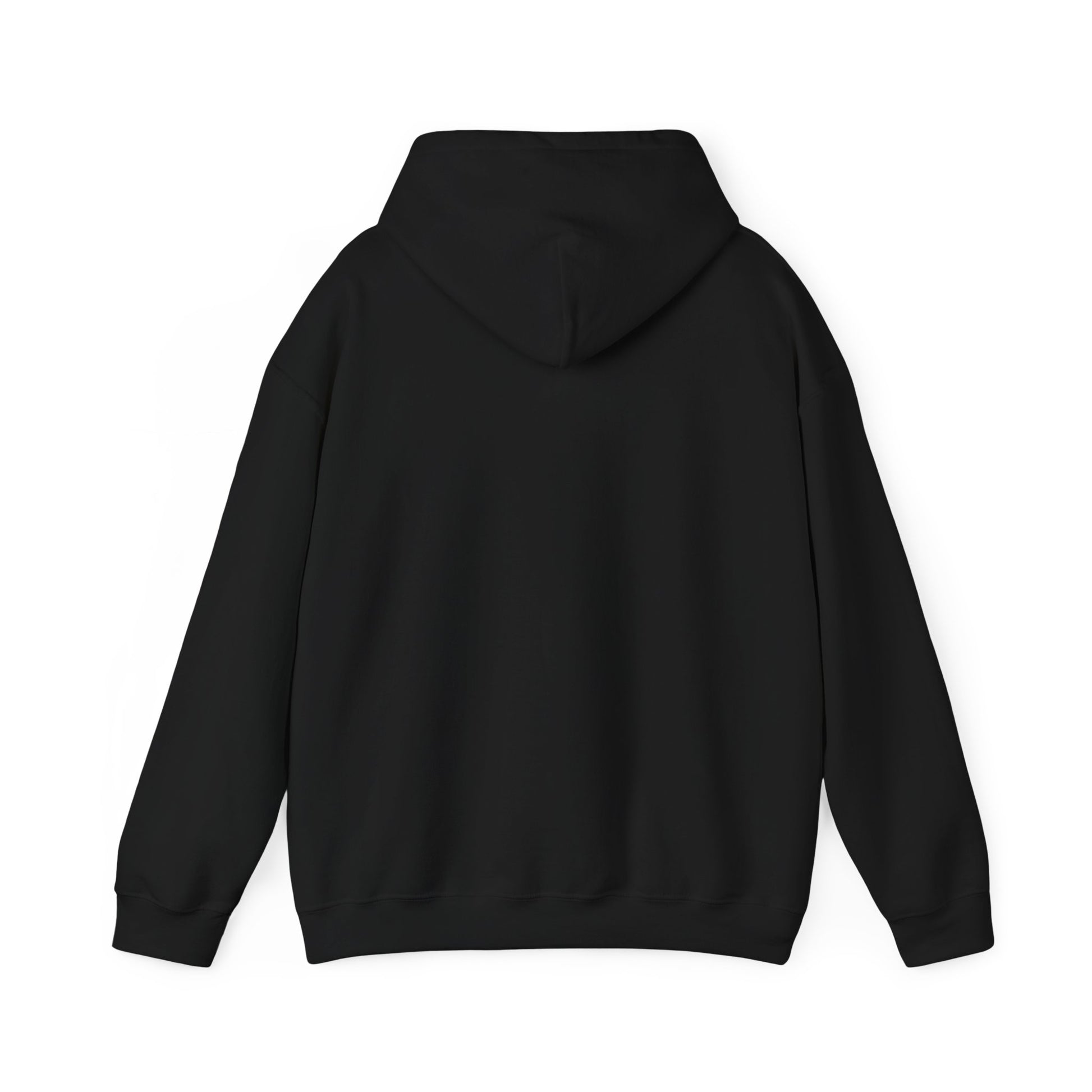 Cozy Witchy Hooded Sweatshirt - Perfect for Halloween, Casual Wear, Gifts, Cozy Outfits, & Fall Gatherings - THE CATCH