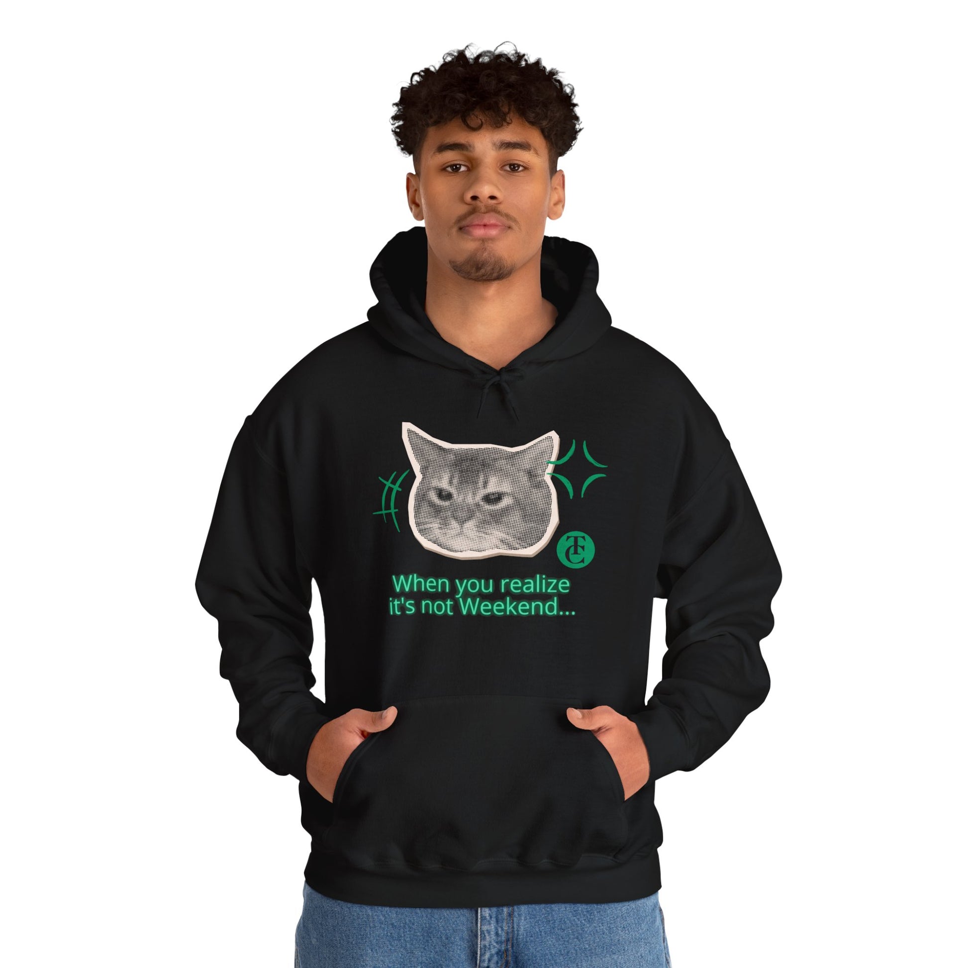 Cat Humor Sweatshirt, Funny Hoodie, Weekend Vibes Sweatshirt, Hoodie, Gift for Cat Lovers, Cute Cat Apparel - THE CATCH