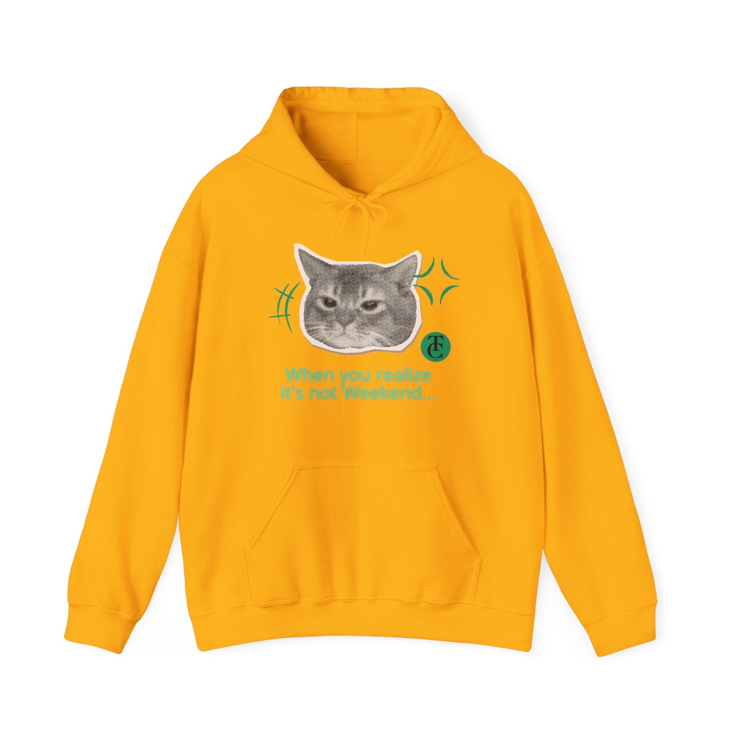 Cat Humor Sweatshirt, Funny Hoodie, Weekend Vibes Sweatshirt, Hoodie, Gift for Cat Lovers, Cute Cat Apparel - THE CATCH