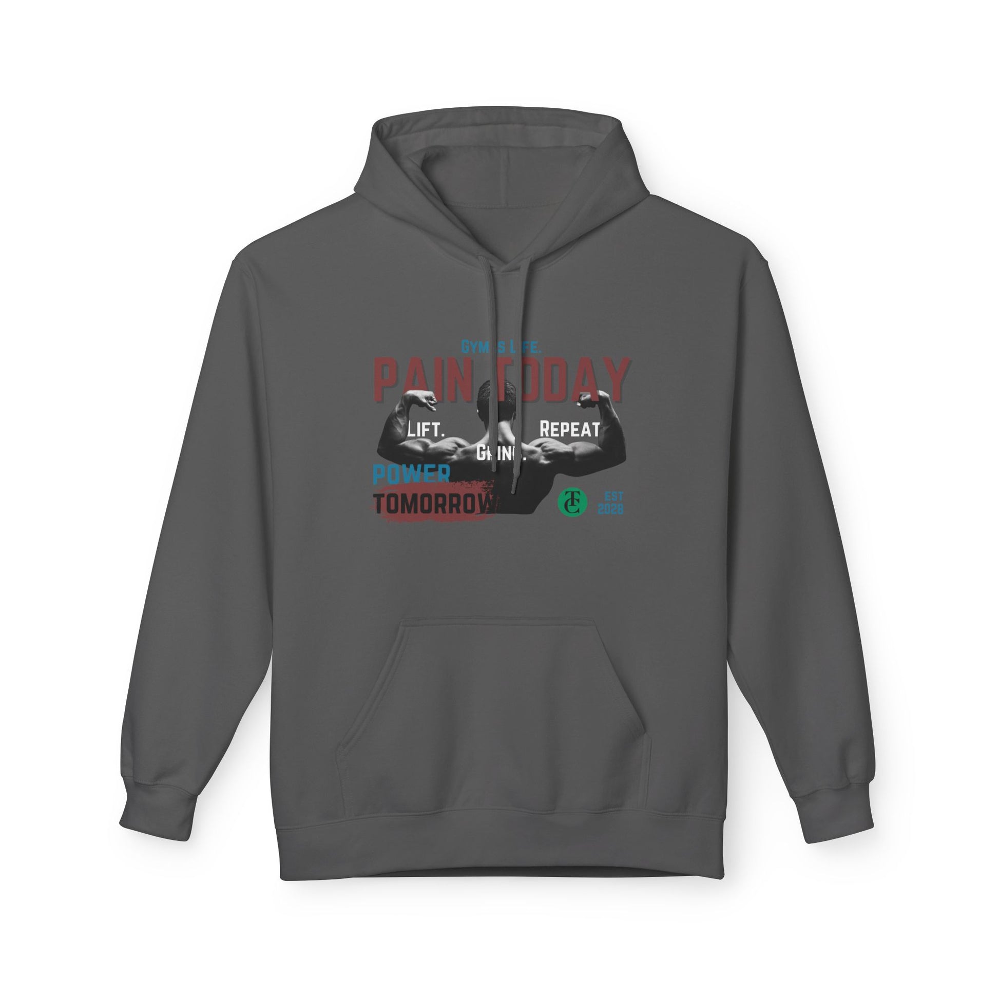 Empowering Fleece Hoodie | Gym Motivation | Pain Today, Power Tomorrow Workout Gear | Fitness Gift | Casual Wear - THE CATCH