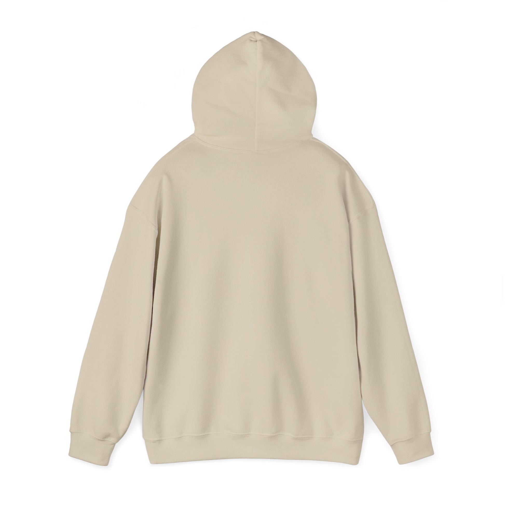 Motivational Sweatshirt - "Never Give Up" Hoodie, Cozy Gift for Friends, Inspirational Apparel, Perfect for Any Occasion - THE CATCH