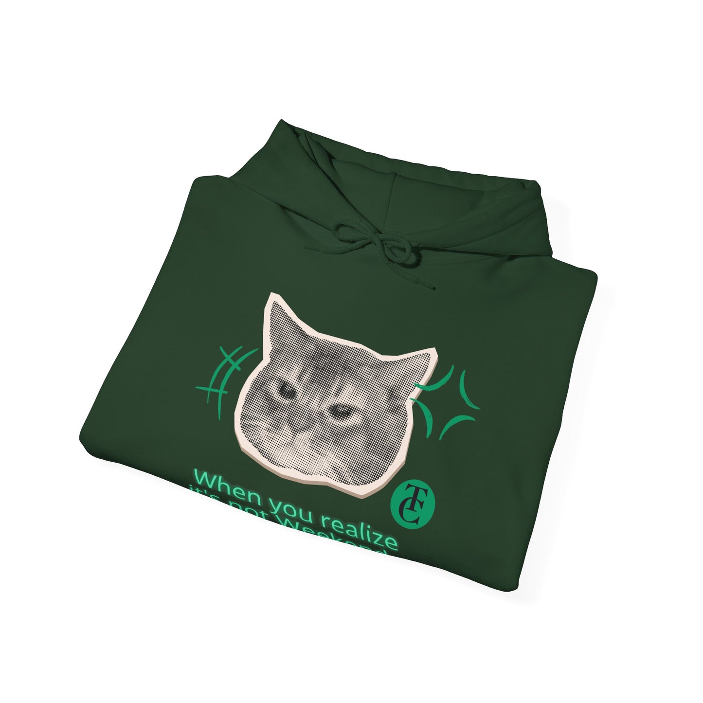 Cat Humor Sweatshirt, Funny Hoodie, Weekend Vibes Sweatshirt, Hoodie, Gift for Cat Lovers, Cute Cat Apparel - THE CATCH