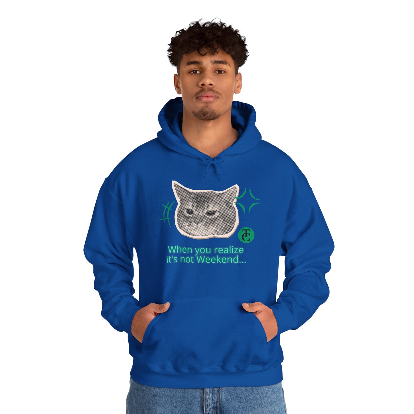 Cat Humor Sweatshirt, Funny Hoodie, Weekend Vibes Sweatshirt, Hoodie, Gift for Cat Lovers, Cute Cat Apparel