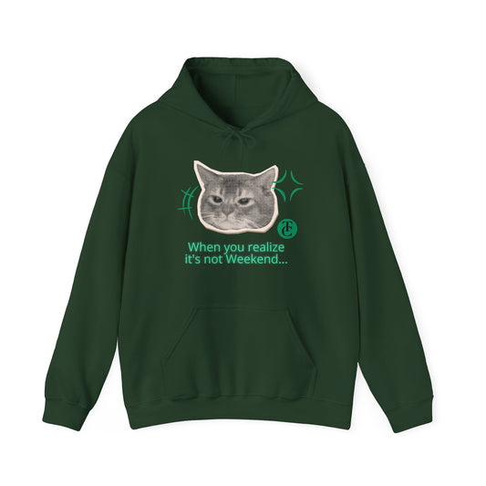 Cat Humor Sweatshirt, Funny Hoodie, Weekend Vibes Sweatshirt, Hoodie, Gift for Cat Lovers, Cute Cat Apparel - THE CATCH