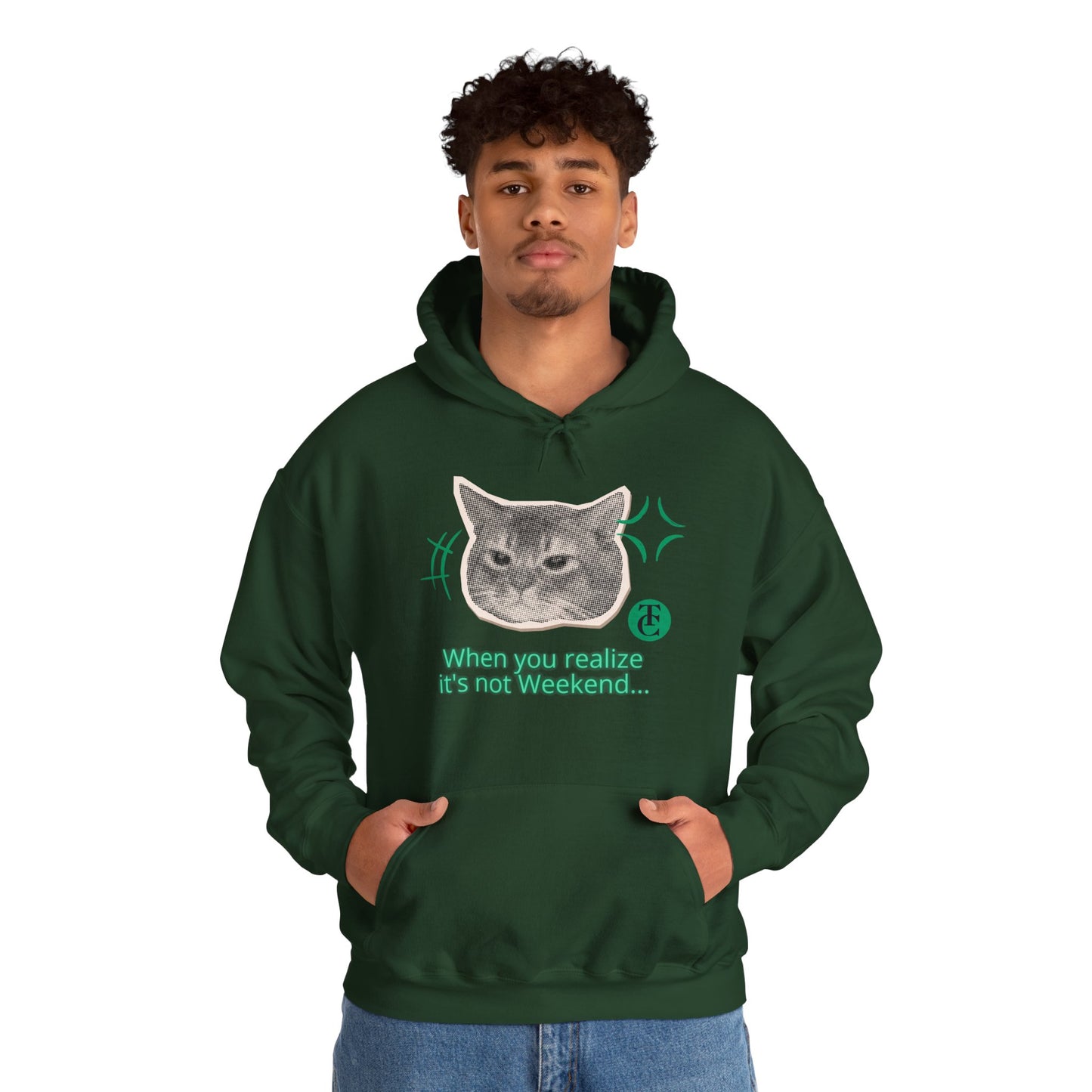 Cat Humor Sweatshirt, Funny Hoodie, Weekend Vibes Sweatshirt, Hoodie, Gift for Cat Lovers, Cute Cat Apparel - THE CATCH