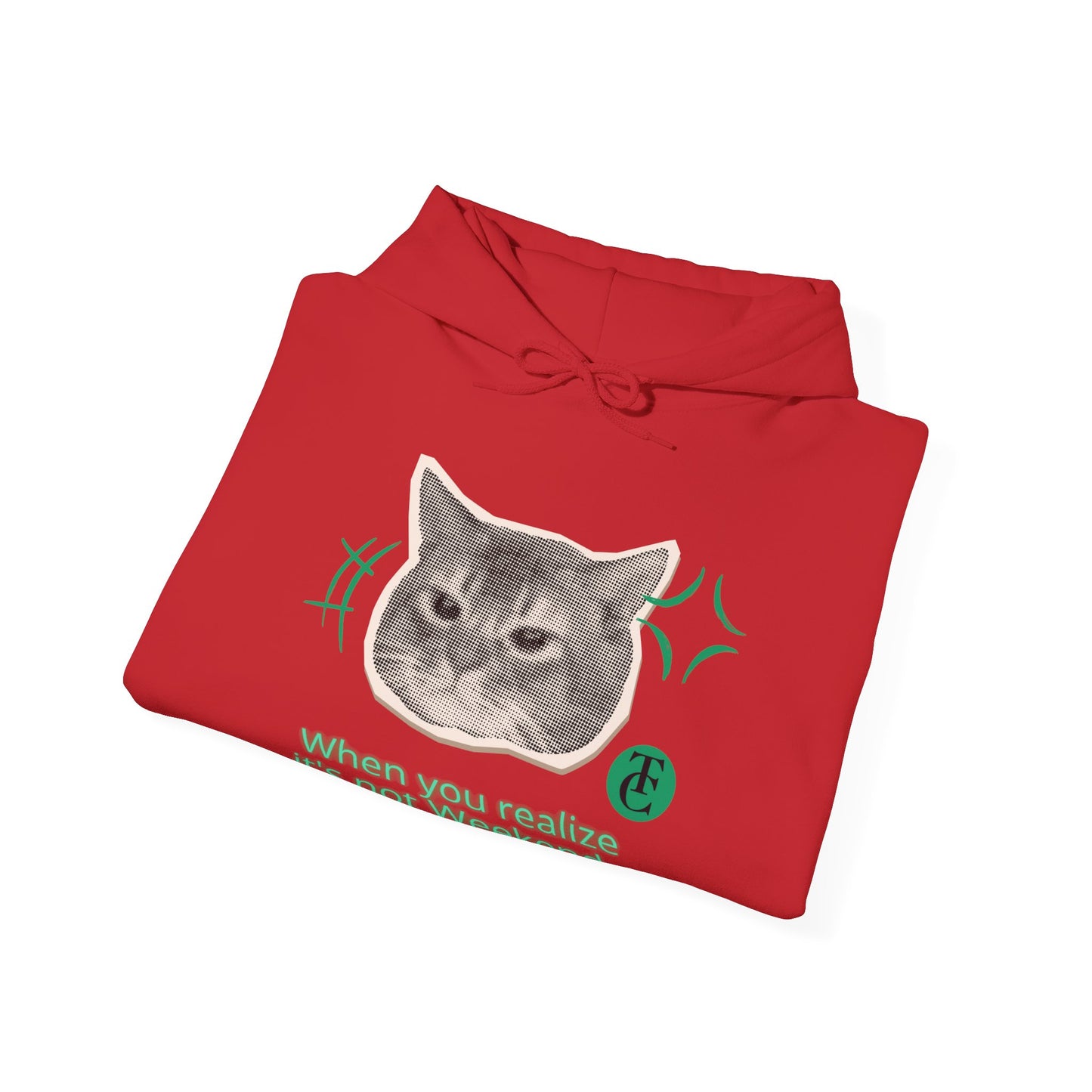 Cat Humor Sweatshirt, Funny Hoodie, Weekend Vibes Sweatshirt, Hoodie, Gift for Cat Lovers, Cute Cat Apparel