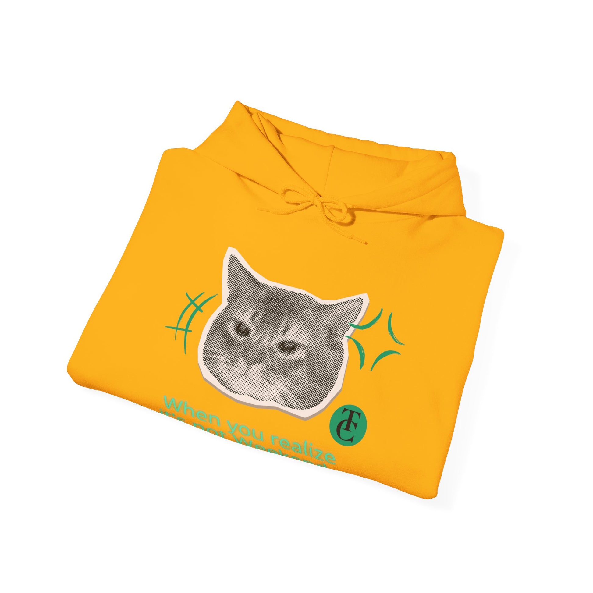 Cat Humor Sweatshirt, Funny Hoodie, Weekend Vibes Sweatshirt, Hoodie, Gift for Cat Lovers, Cute Cat Apparel - THE CATCH