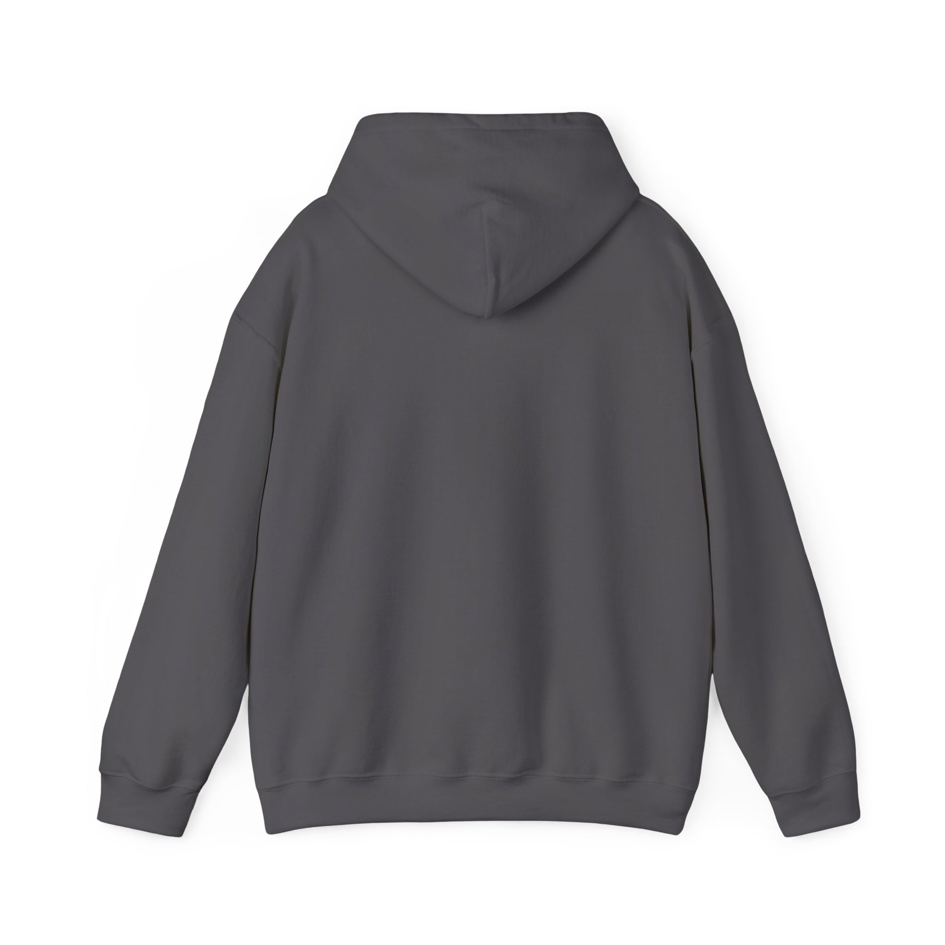 Meditative Mushroom Hoodie - Hooded Sweatshirt, Spiritual Fashion, Cozy Gift, Yoga Attire, Mindfulness Wear, Fall Fashion - THE CATCH