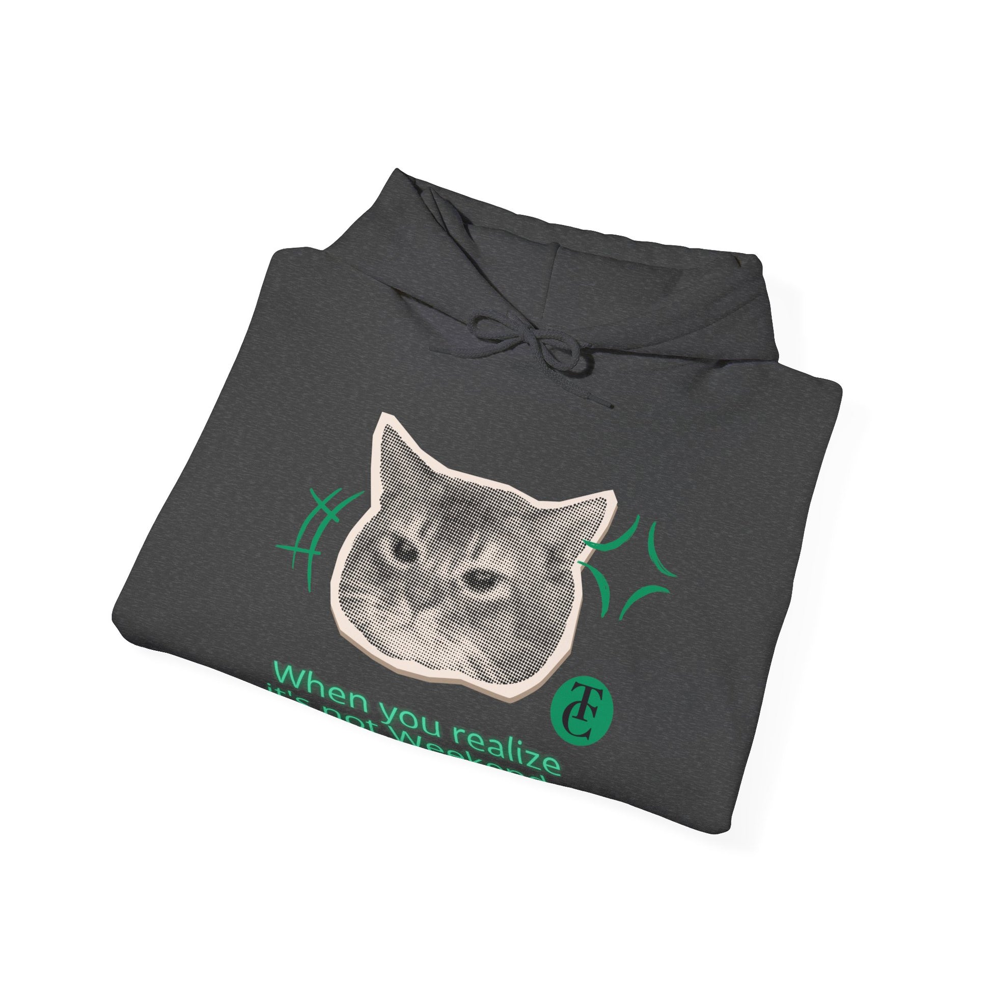 Cat Humor Sweatshirt, Funny Hoodie, Weekend Vibes Sweatshirt, Hoodie, Gift for Cat Lovers, Cute Cat Apparel - THE CATCH