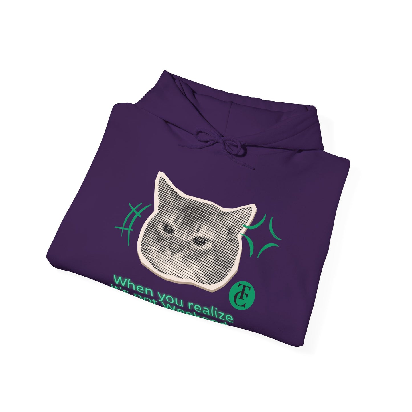 Cat Humor Sweatshirt, Funny Hoodie, Weekend Vibes Sweatshirt, Hoodie, Gift for Cat Lovers, Cute Cat Apparel