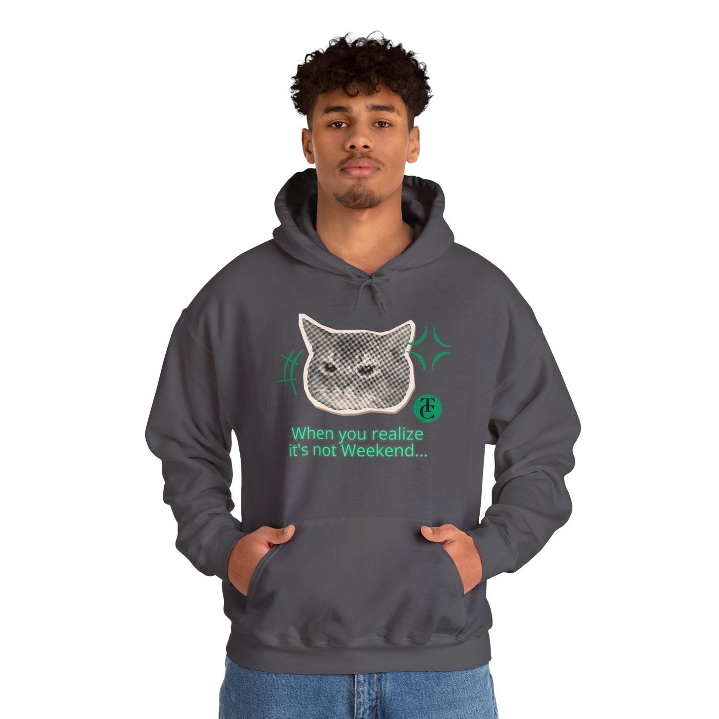 Cat Humor Sweatshirt, Funny Hoodie, Weekend Vibes Sweatshirt, Hoodie, Gift for Cat Lovers, Cute Cat Apparel - THE CATCH