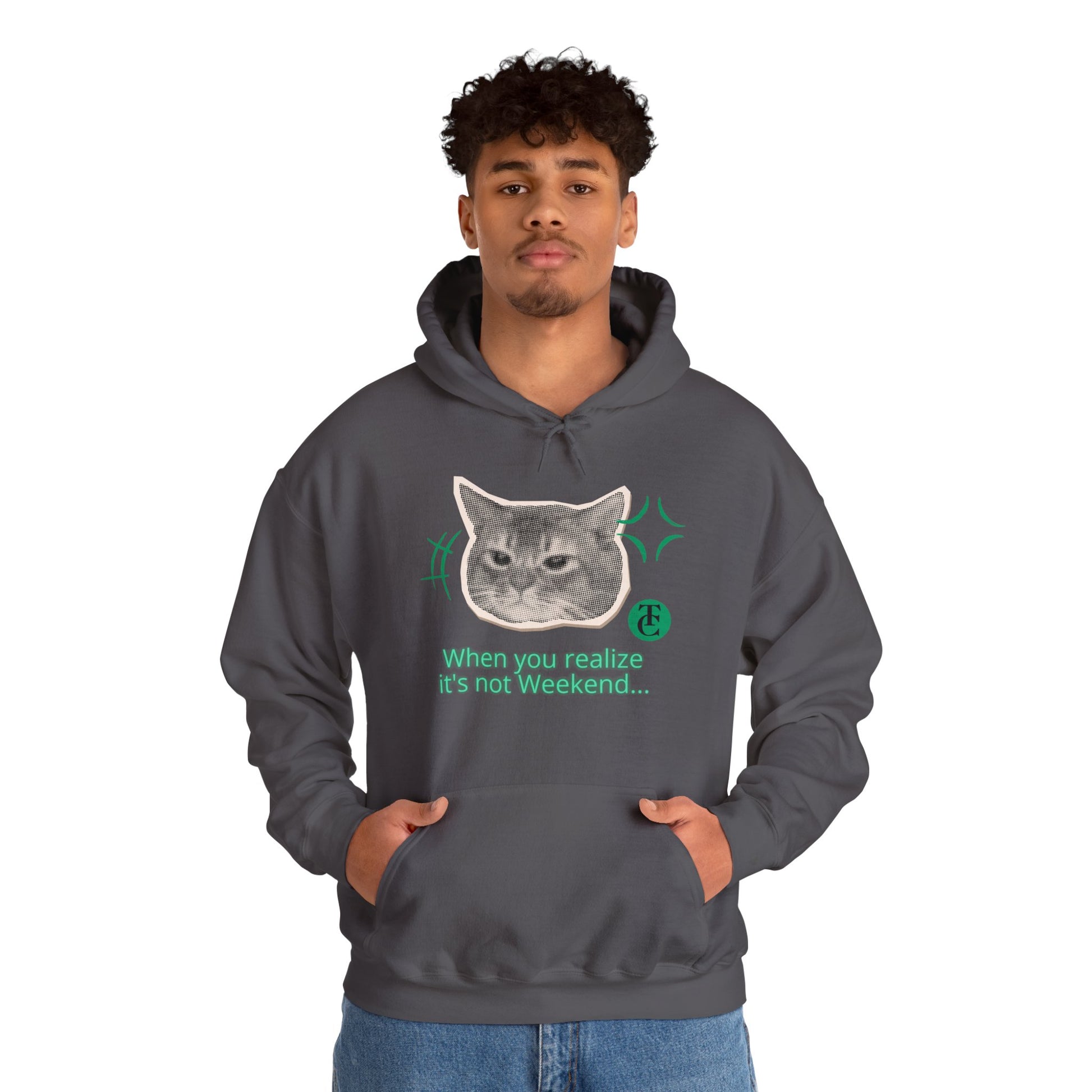 Cat Humor Sweatshirt, Funny Hoodie, Weekend Vibes Sweatshirt, Hoodie, Gift for Cat Lovers, Cute Cat Apparel - THE CATCH