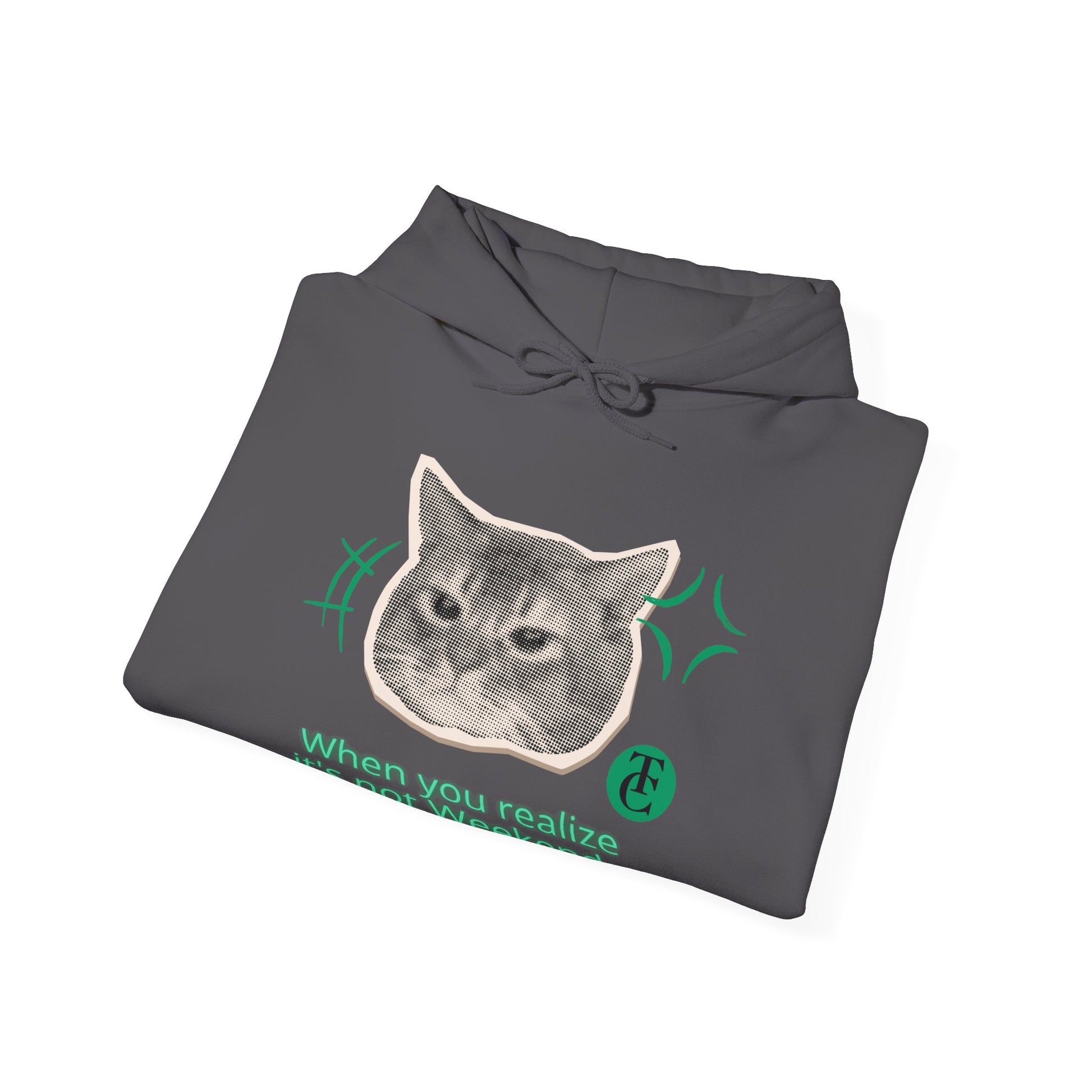 Cat Humor Sweatshirt, Funny Hoodie, Weekend Vibes Sweatshirt, Hoodie, Gift for Cat Lovers, Cute Cat Apparel - THE CATCH
